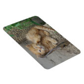 Magnet Flexible Itchy (Côté Droit)