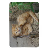 Magnet Flexible Itchy (Vertical)