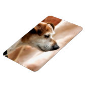 MAGNET FLEXIBLE JACK RUSSELL TERRIER CHIEN (Côté Gauche)
