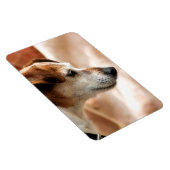 MAGNET FLEXIBLE JACK RUSSELL TERRIER CHIEN (Côté Droit)