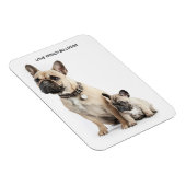 Magnet Flexible J'adore les Bulldogs français (Côté Droit)