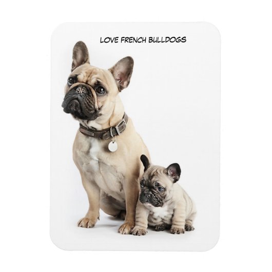 Magnet Flexible J'adore les Bulldogs français (Vertical)
