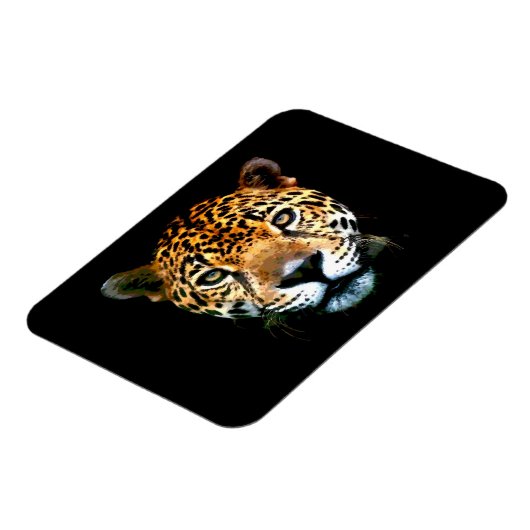 Magnet Flexible Jaguar (Côté Gauche)