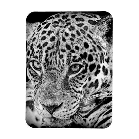 Magnet Flexible Jaguar exotique (Vertical)