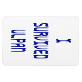 Magnet Flexible J'ai survécu à Ulpan (Horizontal)