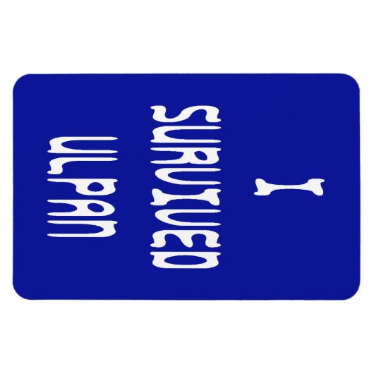 Magnet Flexible J'ai survécu à Ulpan (Horizontal)