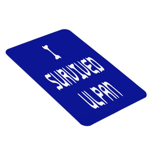 Magnet Flexible J'ai survécu à Ulpan (Côté Droit)