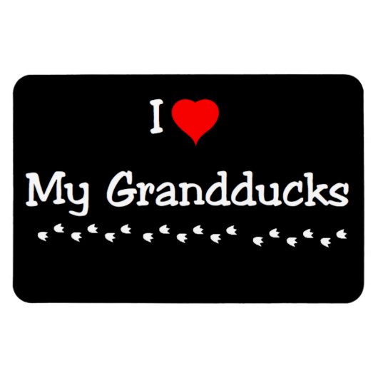 Magnet Flexible J'Aime Mes Petits Canards (Horizontal)