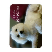 Magnet Flexible J'Aime Mon Aimant Maltais (Vertical)