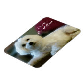 Magnet Flexible J'Aime Mon Aimant Maltais (Côté Gauche)