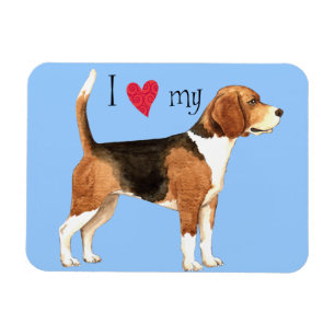 Magnet Flexible J'aime mon beagle