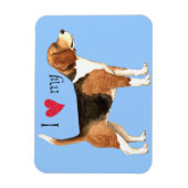 Magnet Flexible J'aime mon Beagle (Vertical)