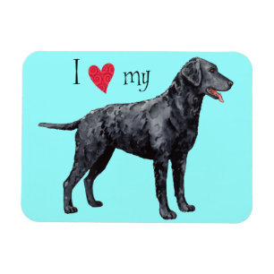 Magnet Flexible J'aime mon Retriever à revêtement mou