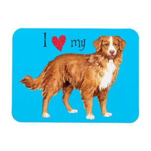 Magnet Flexible J'aime mon Toller