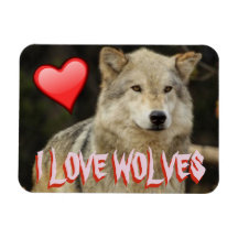J'AIME TROP LES LOUPS - LES LOUPS SONT BEAUX ET LI