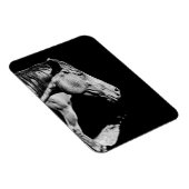 Magnet Flexible jambe de tête de cheval (Côté Droit)