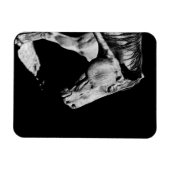 Magnet Flexible jambe de tête de cheval (Horizontal)