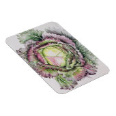 Magnet Flexible Janvier King Cabbage (Côté Droit)