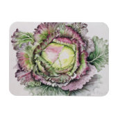 Magnet Flexible Janvier King Cabbage (Horizontal)