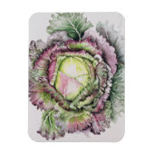 Magnet Flexible Janvier King Cabbage (Vertical)