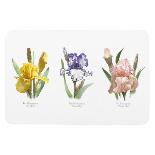 Magnet Flexible Jardin de fleurs d'iris (Horizontal)