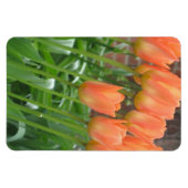 Magnet Flexible Jardin de la Tulipe d'Orange (Horizontal)