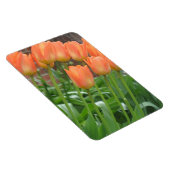 Magnet Flexible Jardin de la Tulipe d'Orange (Côté Droit)