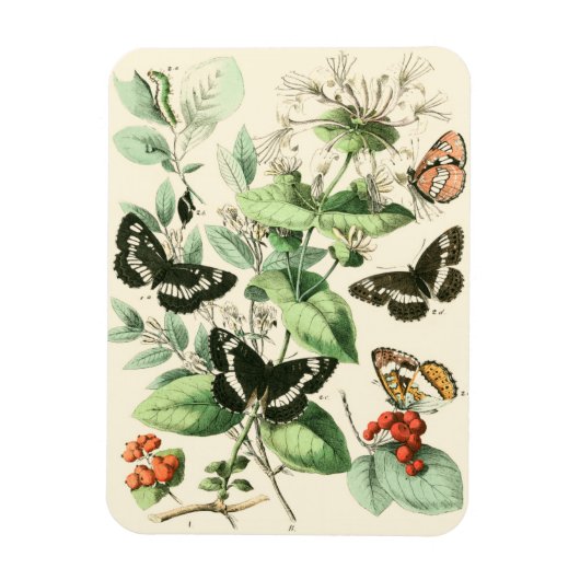 Magnet Flexible Jardin des papillons et des fleurs (Vertical)