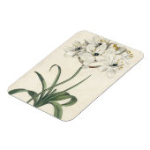 Magnet Flexible Jardin d'ivoire (Côté Gauche)