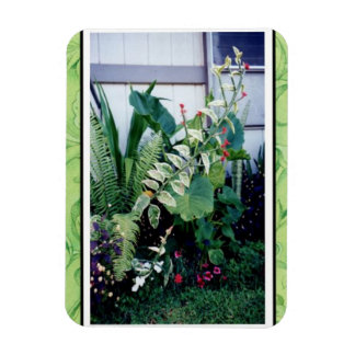 Magnet Flexible Jardin magnétique-tropical