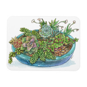 Magnet Flexible Jardin rond Succulent