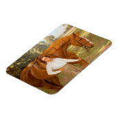 Magnet Flexible Jasmine le Cheval (par Algernon Talmage) (Côté Gauche)