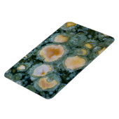 Magnet Flexible Jasper océan tacheté (Côté Gauche)