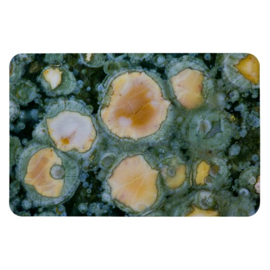 Magnet Flexible Jasper océan tacheté (Horizontal)