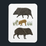 Magnet Flexible Javelina Family Portrait Animaux du désert<br><div class="desc">Décorez votre espace avec ce joli dessin de javelinas. Ça fait un grand cadeau ! Vous pouvez le customiser et ajouter du texte. Consultez ma boutique pour trouver beaucoup d'autres articles assortis et d'autres modèles!</div>