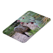 Magnet Flexible Javelina, Prickly Pear, Parc National Big Bend (Côté Gauche)