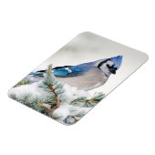 Magnet Flexible Jay bleu dans le cèdre bleu Atlas (Côté Gauche)