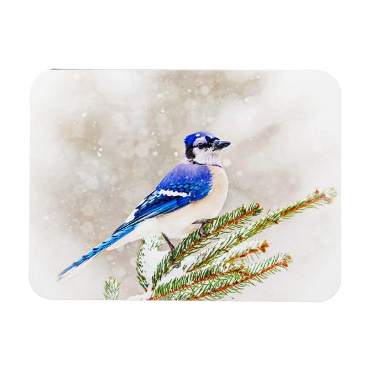 Magnet Flexible Jay bleu dans un pin avec neige (Horizontal)