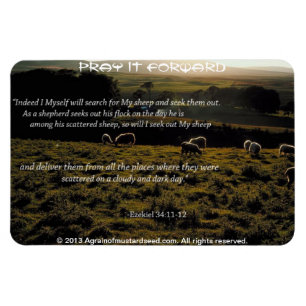 Magnet Flexible Je chercherai la citation biblique de mes brebis