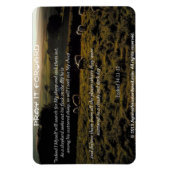 Magnet Flexible Je chercherai My brebis Bible Citation (Vertical)