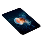 Magnet Flexible Jellyfish Underwater - Dark Glow (Côté Droit)