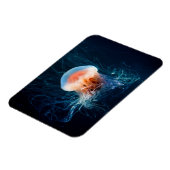 Magnet Flexible Jellyfish Underwater - Dark Glow (Côté Gauche)