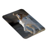 Magnet Flexible Jeu de chèvre (Côté Droit)
