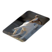 Magnet Flexible Jeu de chèvre (Côté Gauche)