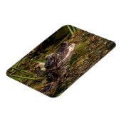 Magnet Flexible Jeune Alligator (Côté Gauche)