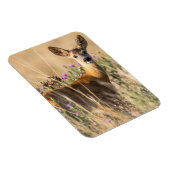 Magnet Flexible Jeune cerf de chevreuil dans le pré (Côté Droit)