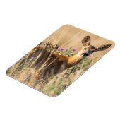 Magnet Flexible Jeune cerf de chevreuil dans le pré (Côté Gauche)