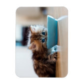 Magnet Flexible Jeune Kitten perse (Vertical)
