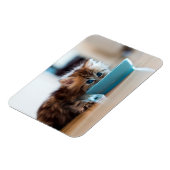 Magnet Flexible Jeune Kitten perse (Côté Gauche)