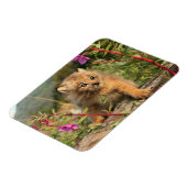 Magnet Flexible Jeune Lynx du Canada, Alaska (Côté Gauche)